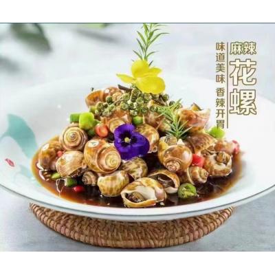 麻辣花螺500克（下酒菜装盘专用）